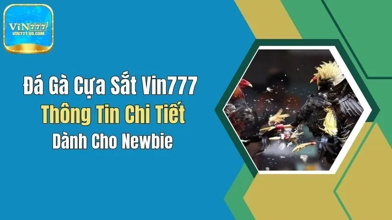Đá Gà Cựa Sắt Vin777: Thông Tin Chi Tiết Dành Cho Newbie